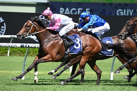 bet on empire rose stakes|Empire Rose Stakes 2023 Field, Tips, Odds, Betting, Results.